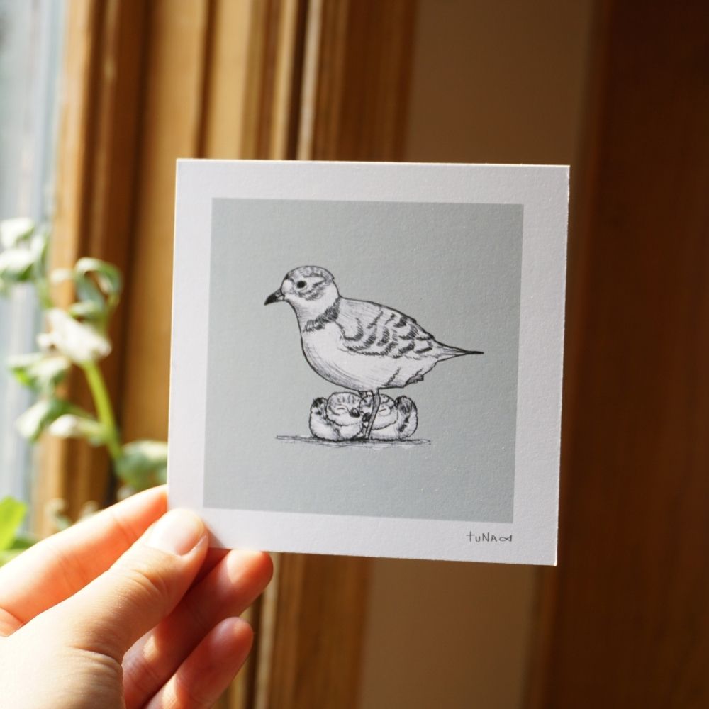 Plover Fam Mini Print
