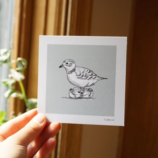 Plover Fam Mini Print