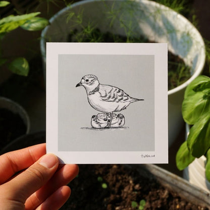 Plover Fam Mini Print