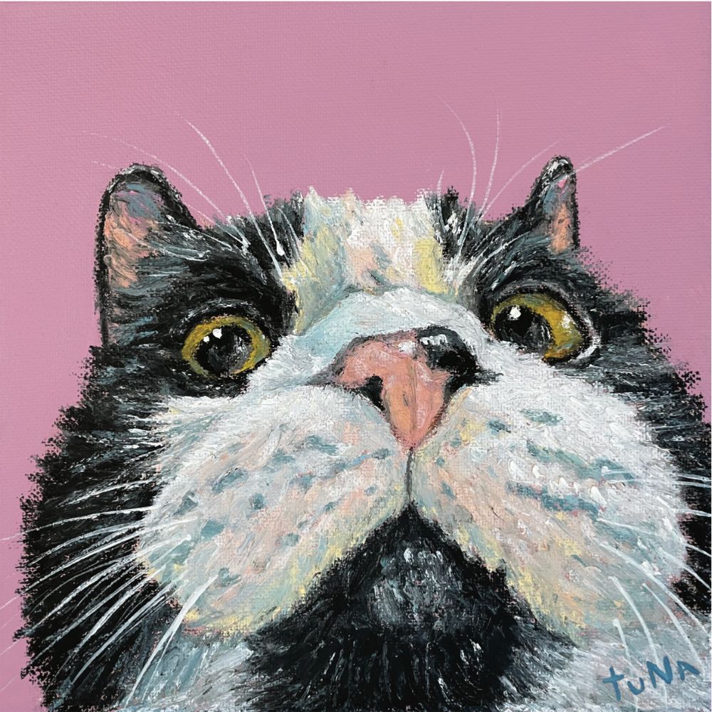 Jack Cat Print