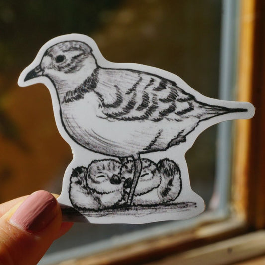 Plover Fam Sticker
